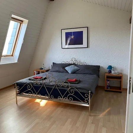 Stilvolles Privatzimmer Im Einfamilienhaus Nahe Basel Oberwil  Exterior foto