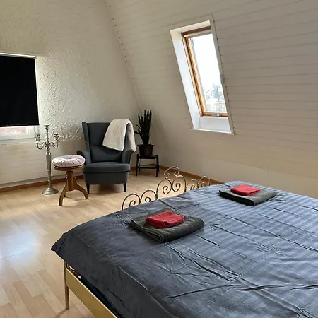 Stilvolles Privatzimmer Im Einfamilienhaus Nahe Basel Oberwil  Exterior foto