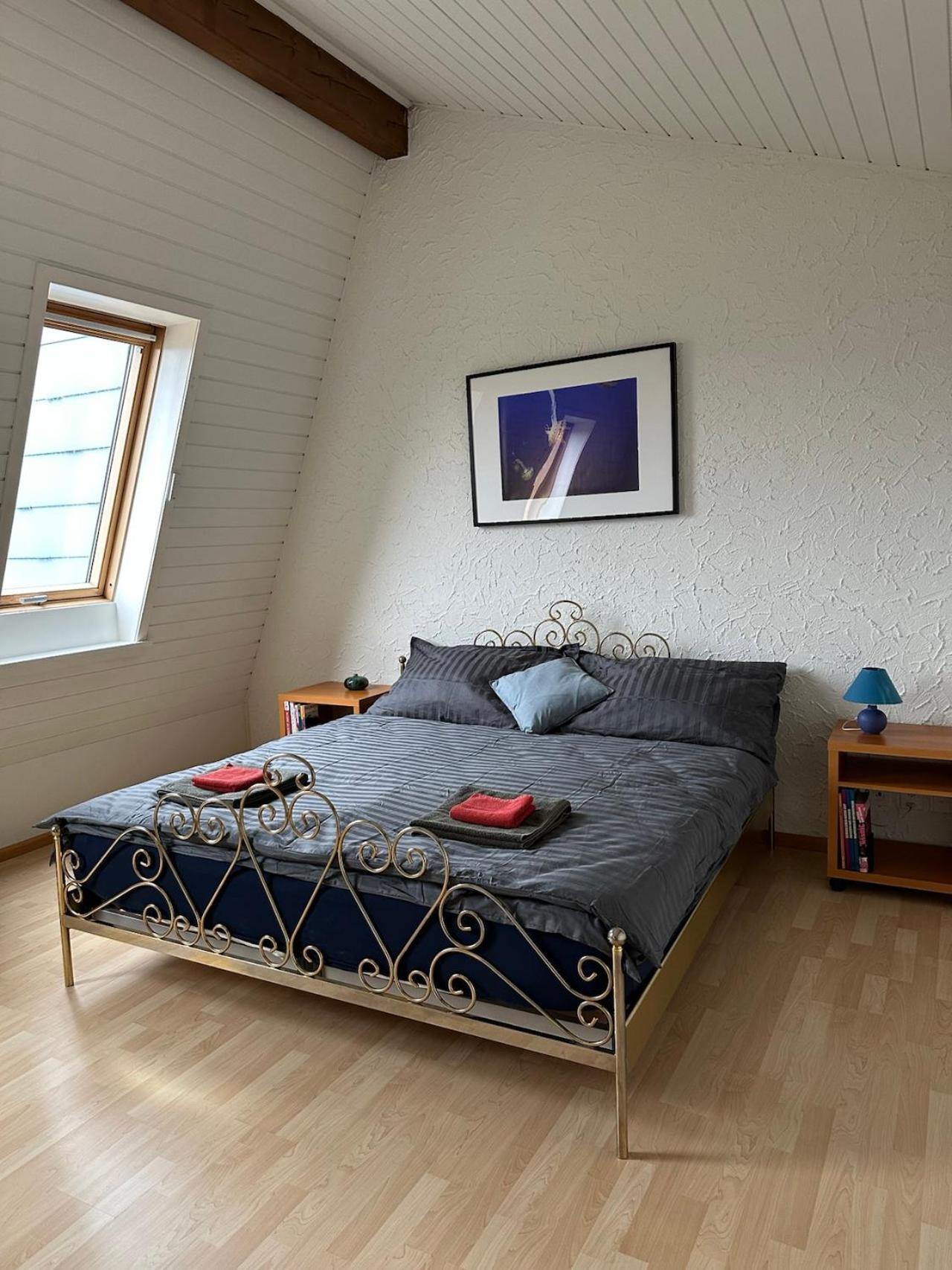 Stilvolles Im Einfamilienhaus Nahe Basel * Oberwil (Basel)