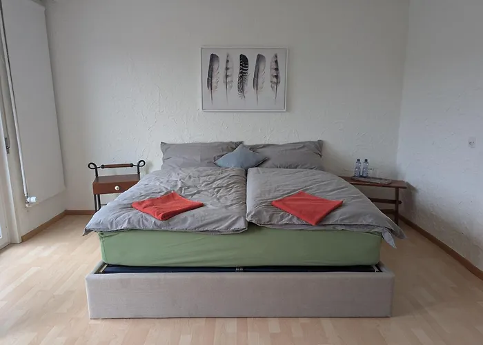 Stilvolles Privatzimmer Im Einfamilienhaus Nahe Basel