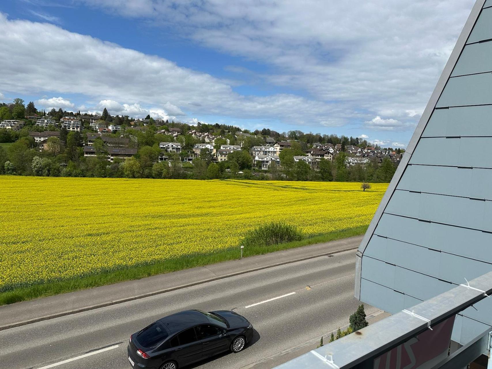 Stilvolles Im Einfamilienhaus Nahe Basel *